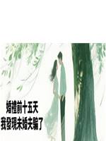 婚禮前十五天，我發現未婚夫騙了