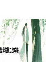 聖母的第二次攻略