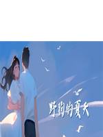 野狗的夏天