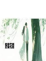 野棠花開