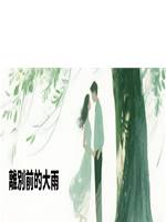 離別前的大雨