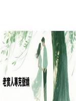 老實人專克傲嬌