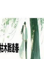 枯木難逢春