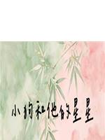 小狗和他的星星