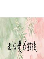 老公變成貓後