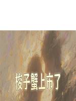 梭子蟹上市了
